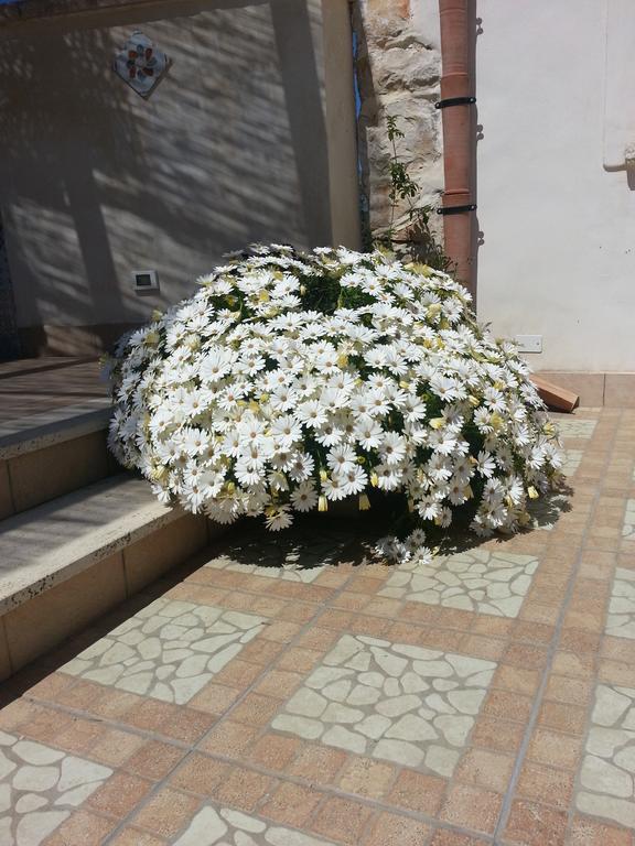 Lovely Cottage Castellammare del Golfo Zewnętrze zdjęcie